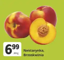 Marketvita Nektarynka, Brzoskwinia oferta