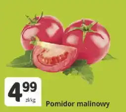Marketvita Pomidor malinowy oferta