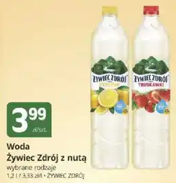 Marketvita Woda Żywiciel Zdrój z nutą oferta