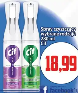Kupiec Spray czyszczący wybrane rodzaje oferta