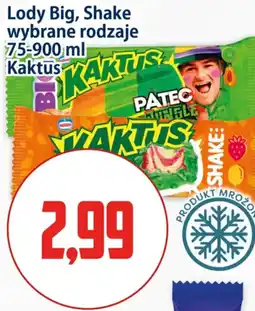 Kupiec Lody Big, Shake wybrane rodzaje oferta