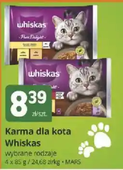 Marketvita Karma dla kota Whiskas wybrane rodzaje oferta