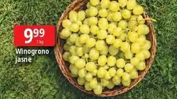E.Leclerc Winogrono jasne oferta