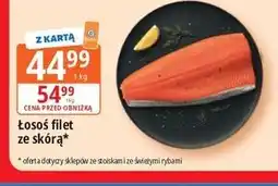 E.Leclerc Łosoś filet ze skórą oferta