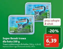 Maxi Zoo Trawa dla kota Super Benek oferta