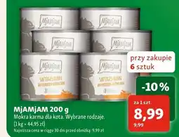 Maxi Zoo Mokra karma dla kota MjAMjAM oferta