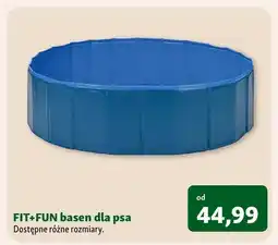 Maxi Zoo Basen dla psa Fit+Fun oferta