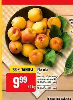 Polomarket Morele oferta