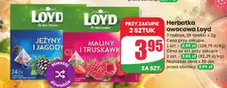 Dino Herbatka owocowa Maliny i Truskawki Loyd oferta