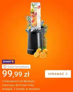 Allegro Blender Berdsen oferta