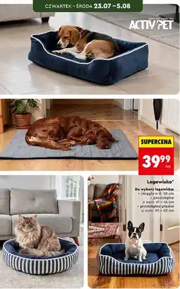 Biedronka Legowisko płaskie Activ'Pet oferta