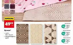 Biedronka Dywan Smukee oferta
