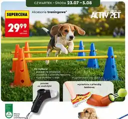 Biedronka Activ'Pet Akcesoria treningowe dla psa oferta