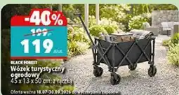 Biedronka Black Forest Wózek turystyczny ogrodowy 45 x 13 x 50 cm, z rączką oferta