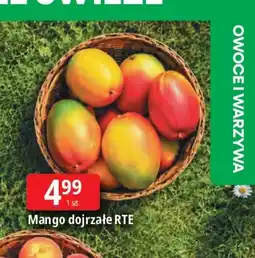 E.Leclerc Mango dojrzałe RTE oferta