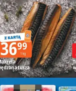 E.Leclerc Makrela wędzona tusza oferta