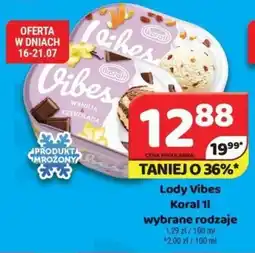 Delfin Lody Vibes Koral oferta