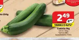Delfin Cukinia oferta