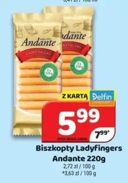 Delfin Biszkopty Ladyfingers Andante oferta