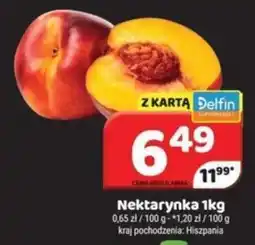 Delfin Nektarynka oferta
