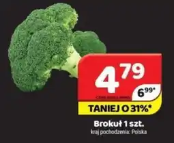 Delfin Brokuł oferta
