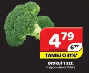 Delfin Brokuł oferta