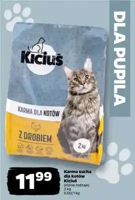Netto Karma sucha dla kotów Kiciuś oferta