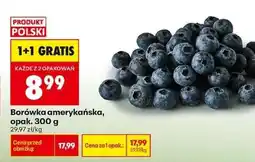 Biedronka Borówka amerykańska opak 300 g oferta