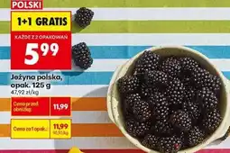 Biedronka Jeżyna polska, opak. 125 g oferta