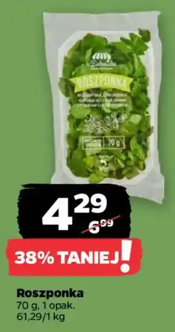 Netto Roszponka oferta