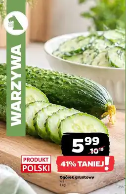 Netto Ogórek gruntowy oferta