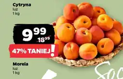 Netto Cytryna Morela oferta