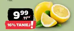 Netto Cytryna oferta