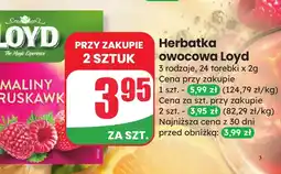 Dino Herbata owocowa Loyd oferta