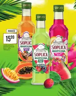 Dino Likier Soplica Egzotyczna Kaktus Arbuz oferta