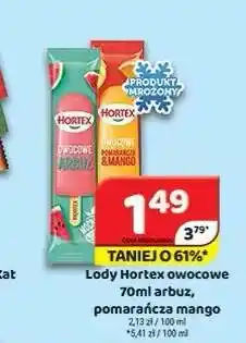 Delfin Lody Hortex owocowe arbuz oferta