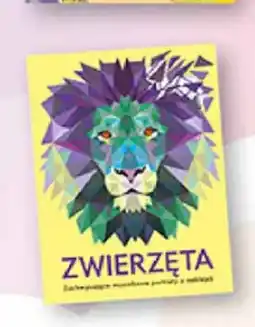 Biedronka Książka Zwierzęta mozaiki i naklejki oferta