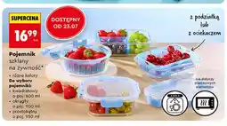 Biedronka Pojemnik szklany na żywność kwadratowy oferta