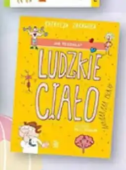 Biedronka Książka Ludzkie ciało oferta