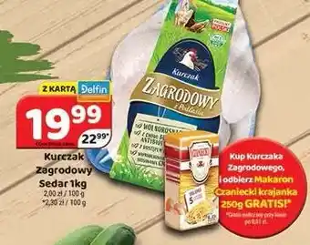 Delfin Kurczak Zagrodowy Sedar oferta