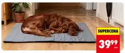 Biedronka Legowisko prostokątne płaskie dla psa Activ'Pet 90x60 cm oferta