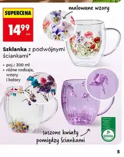 Biedronka Szklanka z podwójnymi ściankami oferta