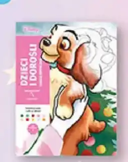 Biedronka Książka Disney Dzieci i dorośli oferta