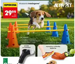 Biedronka Wyrzutnia z piłeczką tenisową Activ'Pet oferta