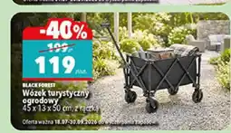 Biedronka Wózek turystyczny ogrodowy Black Forest oferta