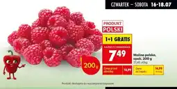 Biedronka Malina polska oferta