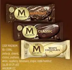 Pokusa Lody Magnum oferta