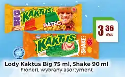 Gildia Lody Kaktus oferta