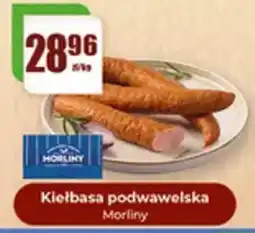 Gildia Kielbasa podwawelska Morlina oferta