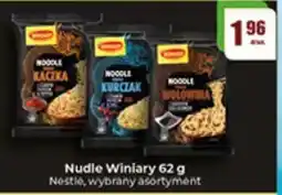 Gildia Nudle Winiary oferta